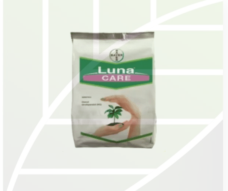 product1