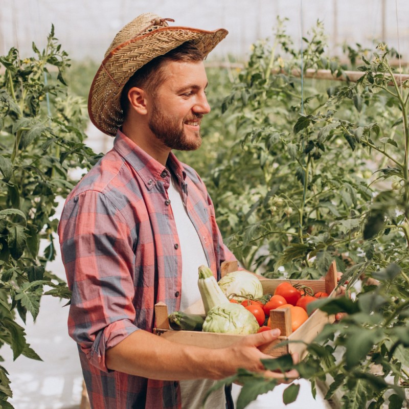 How to detect and correct boron deficiency in oilseed crops