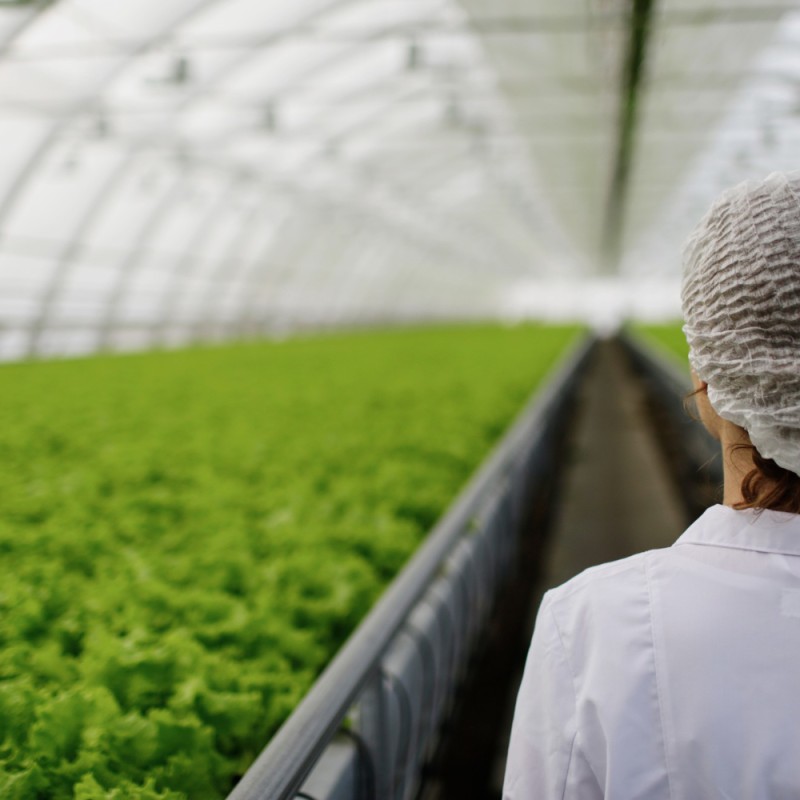 Why phosphorus and potassium get locked up even when soil tests look good