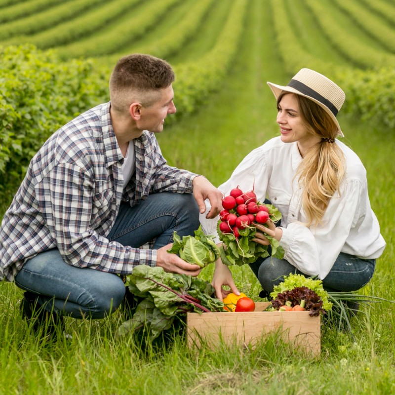 The role of biostimulants in reducing plant stress