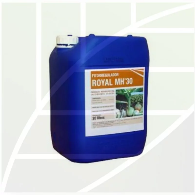 Royal MH 30