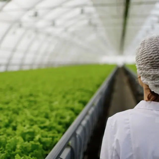 Why phosphorus and potassium get locked up even when soil tests look good