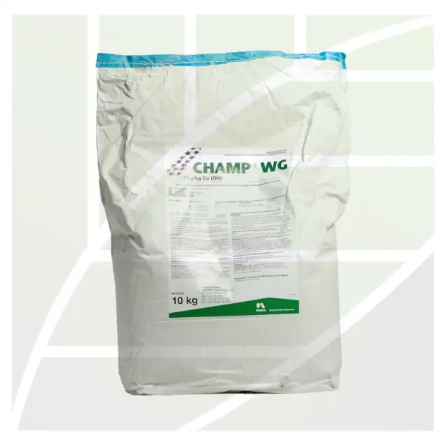 Champ 77 WG