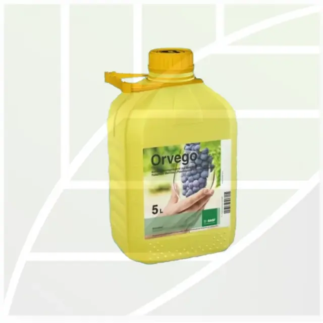 Orvego® New