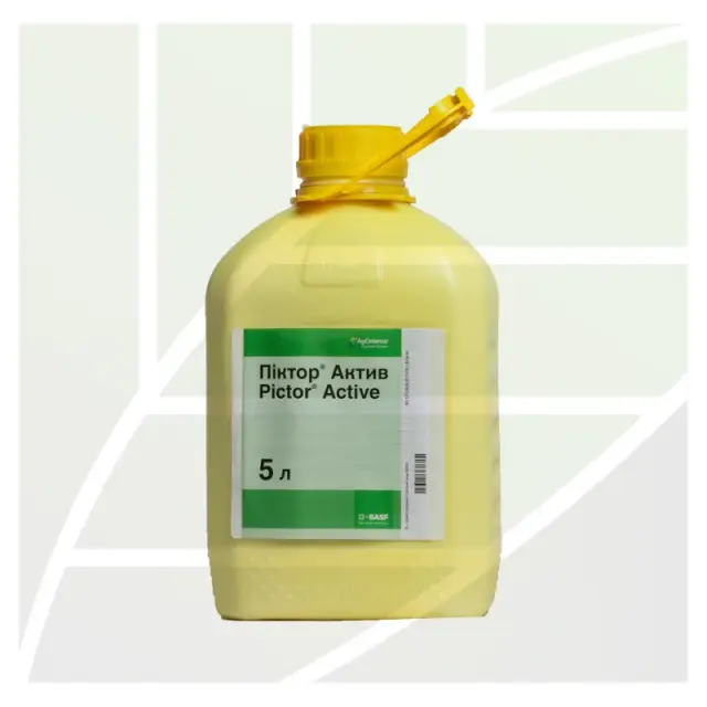 Pictor™Active