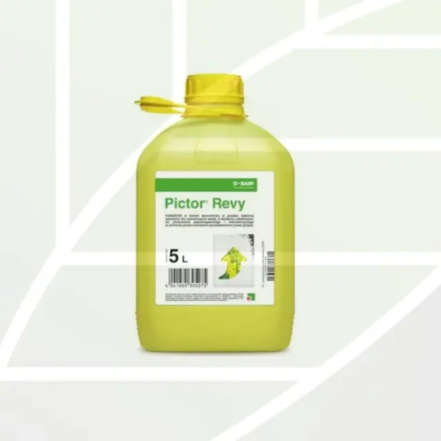 Pictor Revy