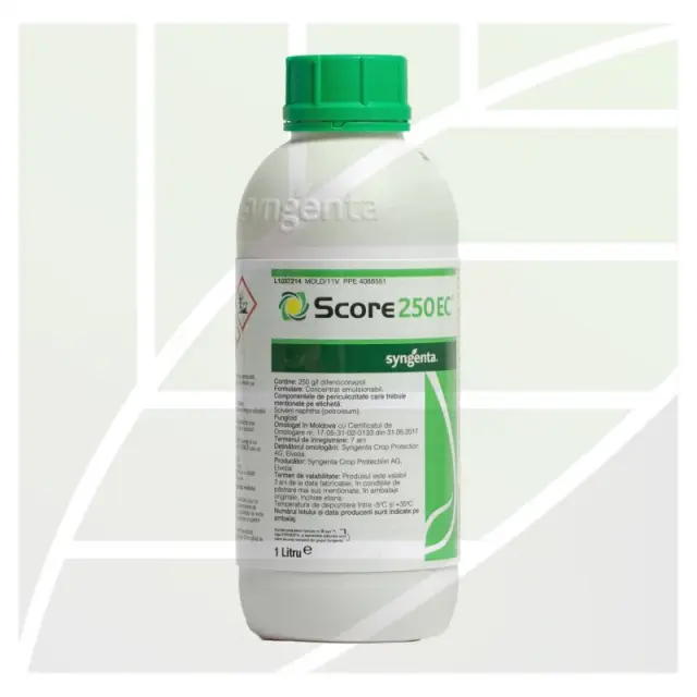 Score 250 EC