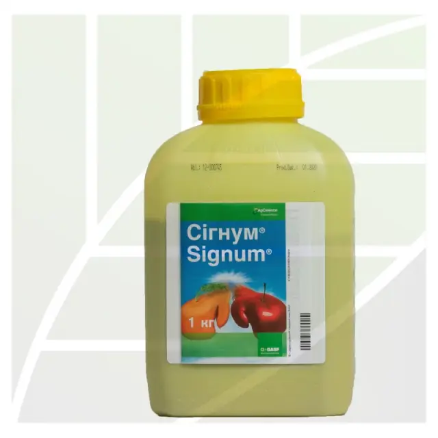 Signum®