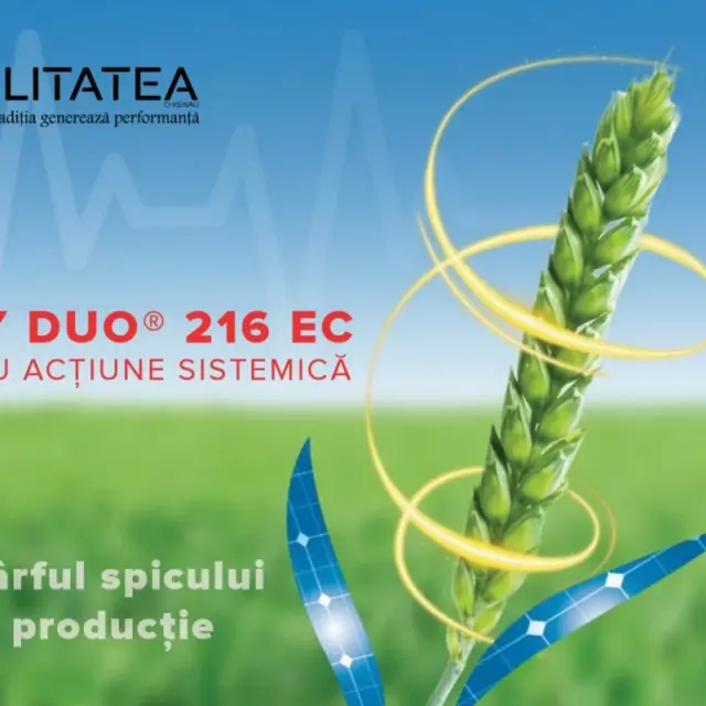 SKYWAY DUO® 216 EC