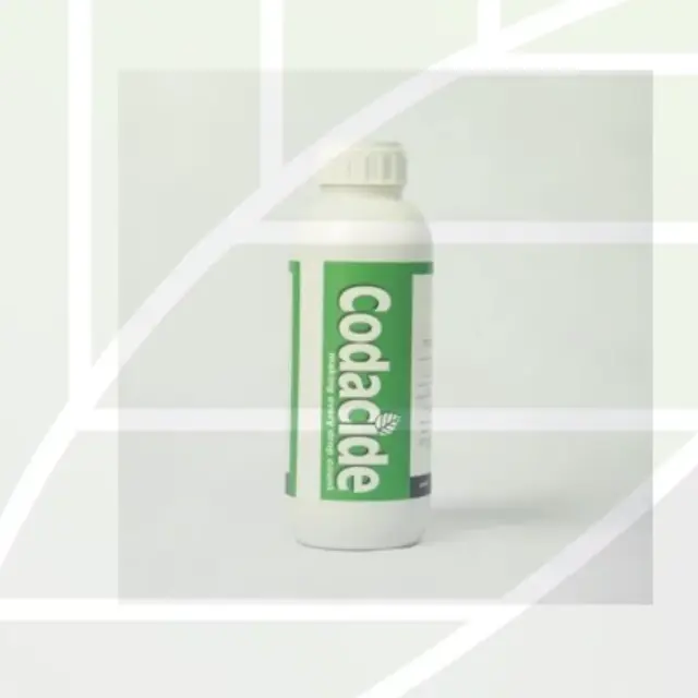 CODACIDE